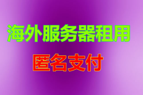 美国网络 CN2 BGP